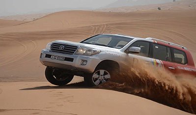 Belly Dance Performance