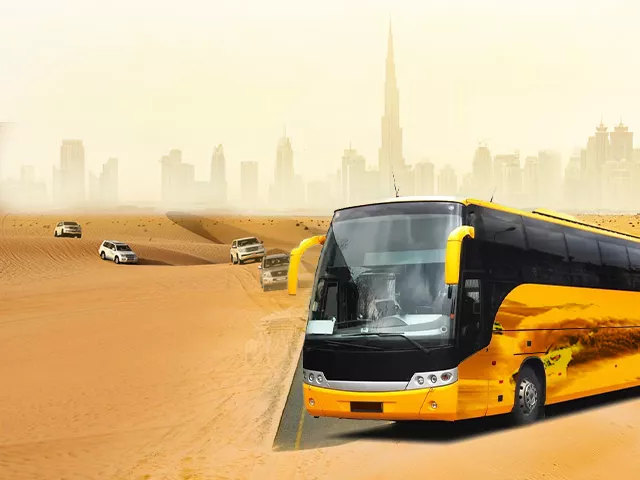 Safari Bus