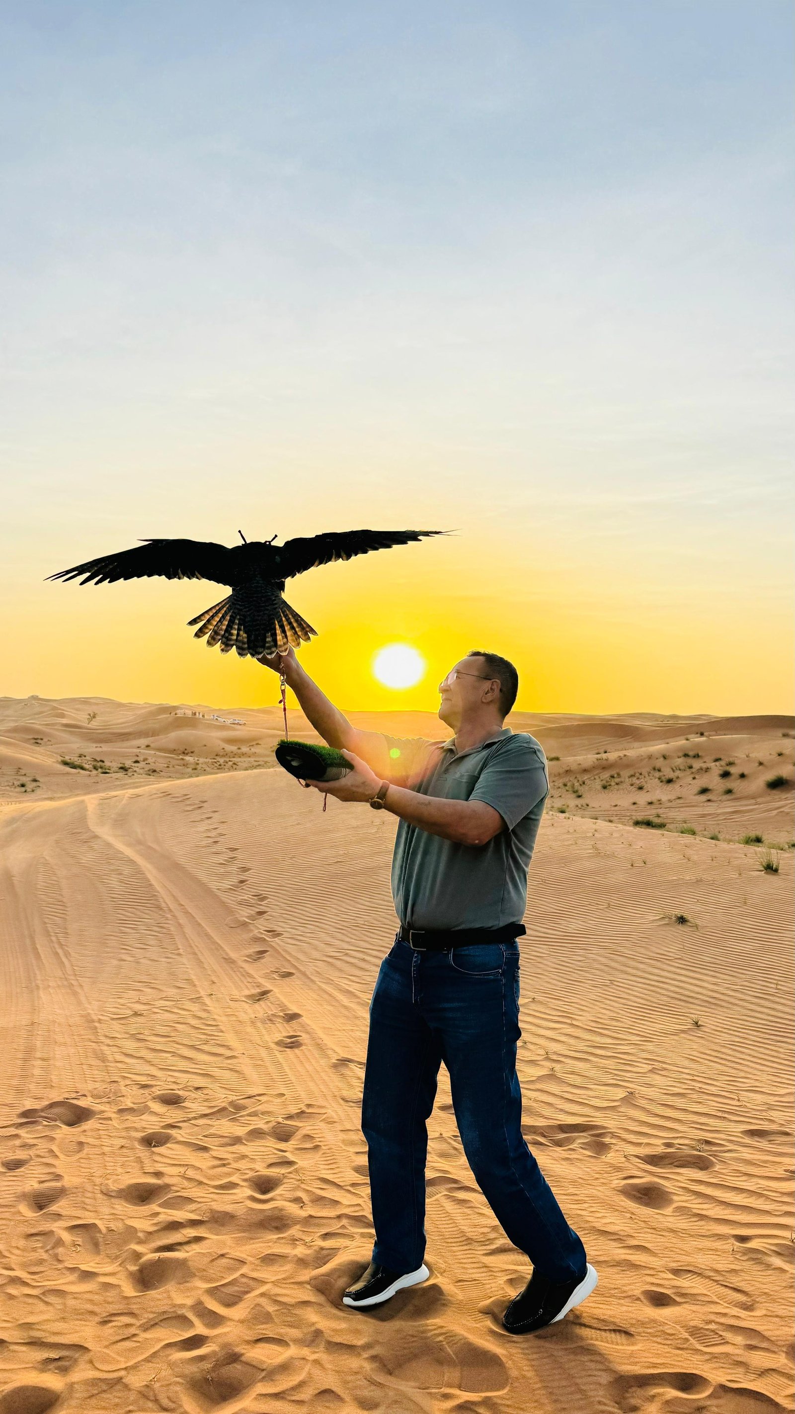 Desert Safari Dubai Tours